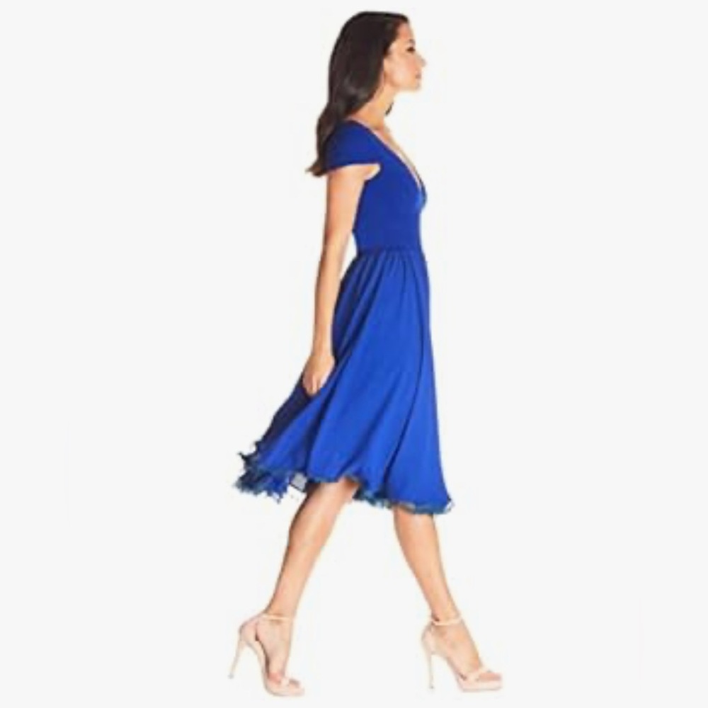 NWT Dress The Population Corey Chiffon Fit & Flare Dress - Picture 2 of 3